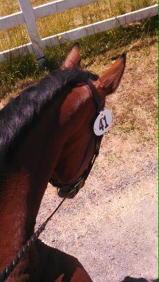 Zilla4715's profile picture. Professional ski bum, feline aficionado, and aspiring dressage rider. Lover of all things speed.


Curated Ski Expert
https://t.co/IlIx1ed1xv