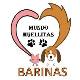 Fundación protectora de los derechos animales. 
Objetivos: Educar a los ciudadanos, Esterilizar los peludos de la calle y Promover su adopción.