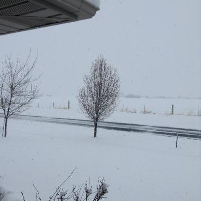 PaulMoore2017's profile picture. 