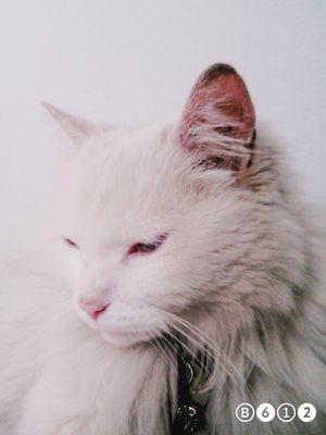 gybh76's profile picture. 