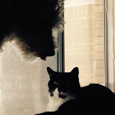 LynnGleason7's profile picture. Married, with children, & animals.