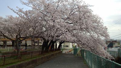 urbannet1215's profile picture. 