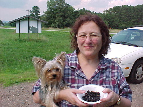 sunflowerangel's profile picture. Love God, pastor, teacher, great husband!, Grammy to Angelface, love my babies