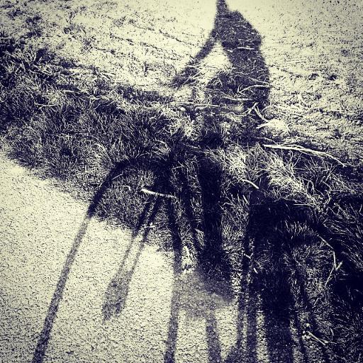 mr0ssini's profile picture. enthusiastic librarian, incomparable dog-lover, compassionate vegan, committed fighter 4 animal rights, wannabe scandinavian and proud élément perturbateur :)