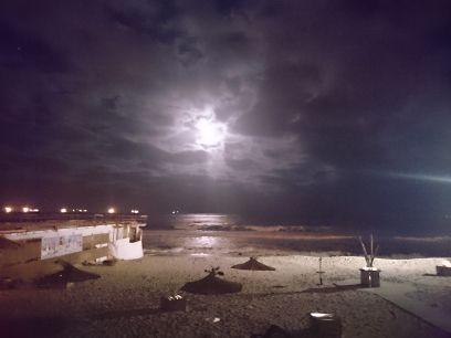 milen_fotev's profile picture. 