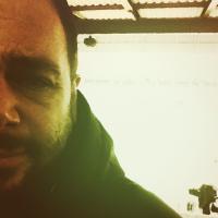 Tim Timmsen (@timtimmsen) 's Twitter Profile