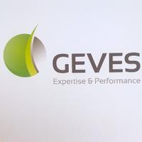 GEVES (@gevesgip) 's Twitter Profile