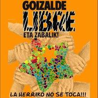 GoizaldeLibre(@GoizaldeLibre) 's Twitter Profile Photo