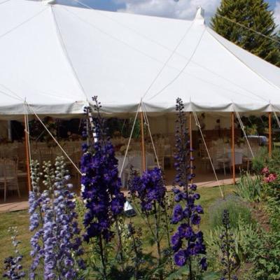 Owner of an amazing marquee company @countymarquees #marqueehour | Event organiser | Keen gardener Foodie and Artist
