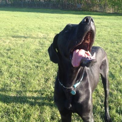 halychak's profile picture. 