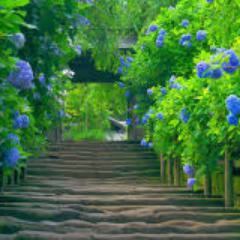 ramrajawat91's profile picture. 