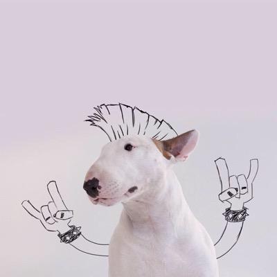 Opinions are mine and only represent myself, so fuck-off.
