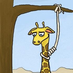 DiegodeSanctis's profile picture. 