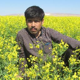 KhaliKhaleghi1's profile picture. 