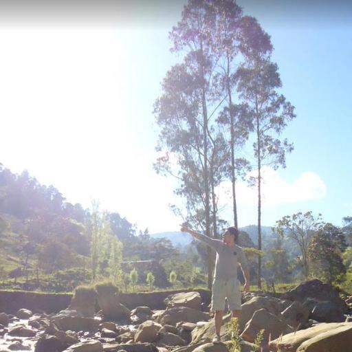 warriortatan's profile picture. 