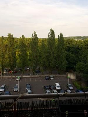 jermcab95's profile picture. Bonjour à tous