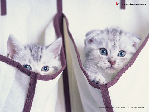 ecojoyce's profile picture. 