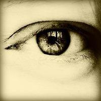 goia (@goia) 's Twitter Profile Photo goia (@goia) 's Twitter Profile Photo