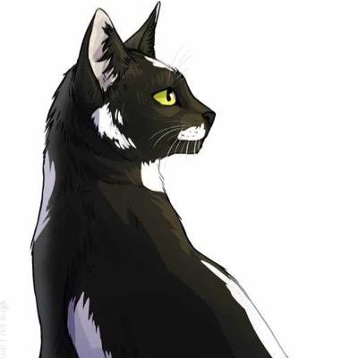 ''Why would I hurt a cat who cannot defend themselves?'' - Clawhoax quote ✎『 Sleek / Agile / Ambitious / SheCat / Kind 』 ー #OpenRP ー @Striped_Warrior is mine ❤️