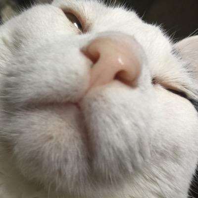 mikeytada's profile picture. I love tech. I wanna be tech.