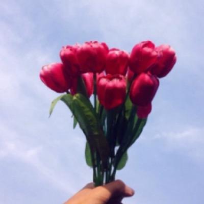 ABCcreamberbeer's profile picture. 