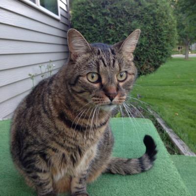 Russ Kalthoff Profile