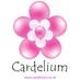  Cardelium (@cardelium) Twitter profile photo Cardelium (@cardelium) Twitter profile photo
