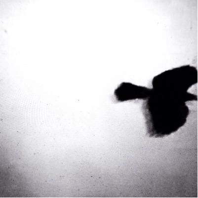 StephenArcher3's profile picture. 