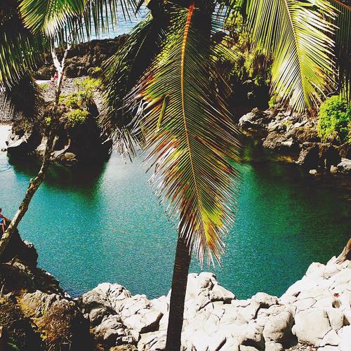 VipSovalkova's profile picture. Technology professional currently supporting run-and-operate services / hosted solutions. Specialist in CA Clarity PPM, Nimsoft Service