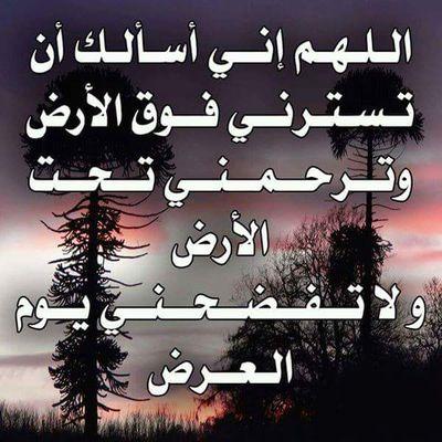 rafatsaed22's profile picture. 