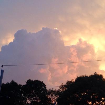 Amy_L_I's profile picture. 