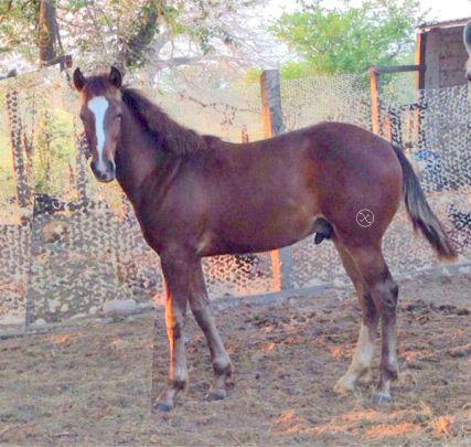 alonsogomez94's profile picture. 