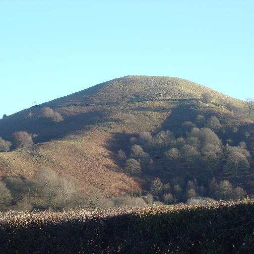 Farmer in the Shropshire Hills. Daffodil field https://t.co/Yh4fGkiOiz | Dementia Friend