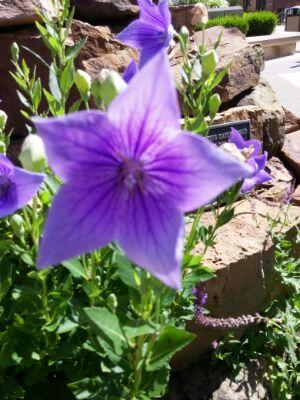 asrcpad's profile picture. 