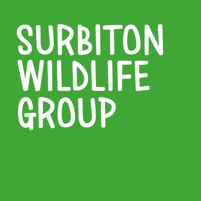 A community group working to enhance our precious local green spaces. To hear about upcoming events join our mailing list by emailing SurbitonWild@hotmail.com.