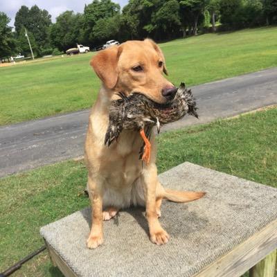 BrettCopeland24's profile picture. 