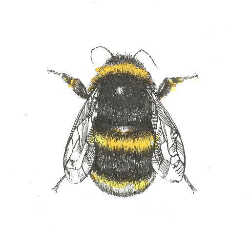 Gingeahoy's profile picture. I am an illustrator who mixes nature and imaginative pattern with pens and a dash of ink!