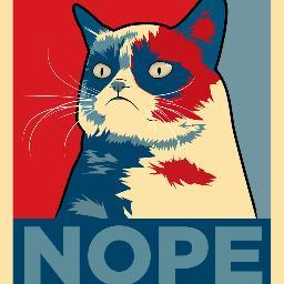 SelimBsbyk1's profile picture. 