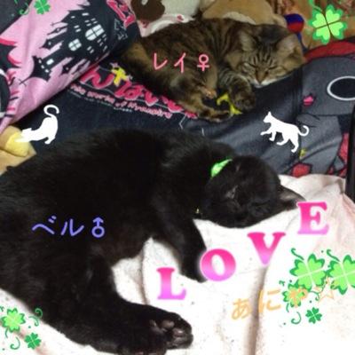 ♥kamilia♥Nicole(ϋ)沢田聖子♡ももクロmisono沢田聖子柴咲コウ中川翔子miwa安室奈美恵井上苑子ベッキー中島美嘉天海祐希真矢みき黒木メイサ豊満の風志村けん吉本新喜劇ラブライブぜん君。初音ミクKPP 윤은혜 박신혜 林依晨 adoAimer★NC181★SHOKO FAMILY🐾
