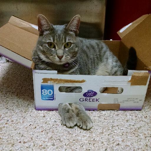 RhmirmHaun's profile picture. Retired Federal librarian .26+ yrs exp.with  the Federal Depository Library Program. WCoast transplant to MD