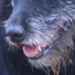 mozziemaud's profile picture. 