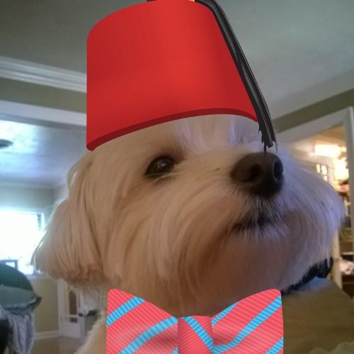 Chantal Hauser Hauser82 Twitter