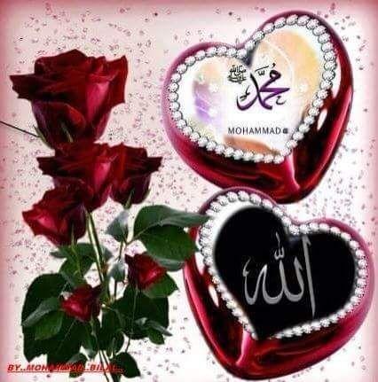 f1f136ce3ca3411's profile picture. mohib