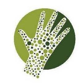 All things green and vertical: ideas about green walls and roofs, clean air and green energy.