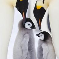 caroline dubois (@carolinedubi) 's Twitter Profile