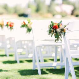 BTCWeddings's profile picture. 