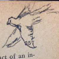 Book Traces (@booktracesuva) 's Twitter Profile