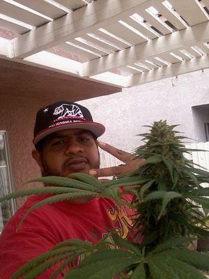 kk4ver's profile picture. LOVEs LIFE..