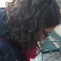 Susan McDonough (@susanalice96) 's Twitter Profile Photo Susan McDonough (@susanalice96) 's Twitter Profile Photo