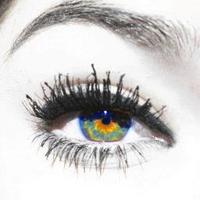 THEVISUALTRIP (@thevisualtrip) 's Twitter Profile